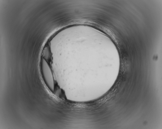 X0000094811136200712141616