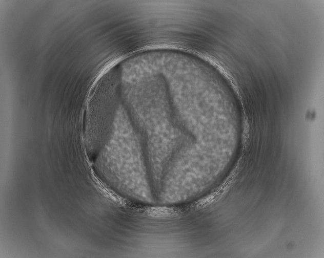 X0000094811137200712141616