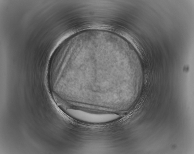 X0000094811139200712141616