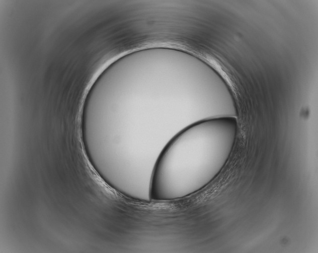 X0000094811140200712141616