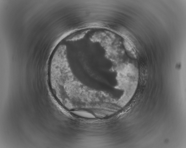 X0000094811142200712141616