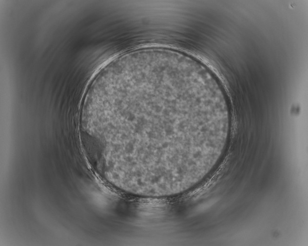 X0000094811145200712141616