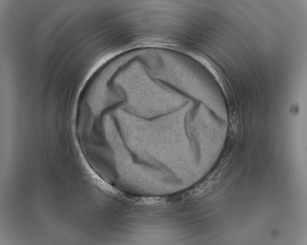 X0000094811147200712141616