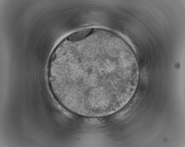 X0000094811149200712141616