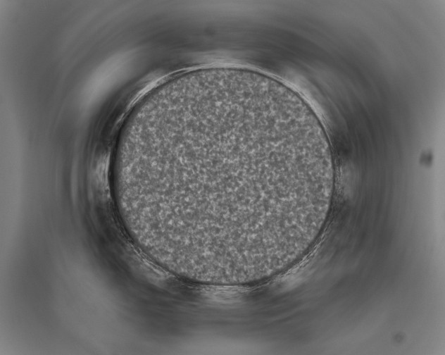 X0000094811150200712141616