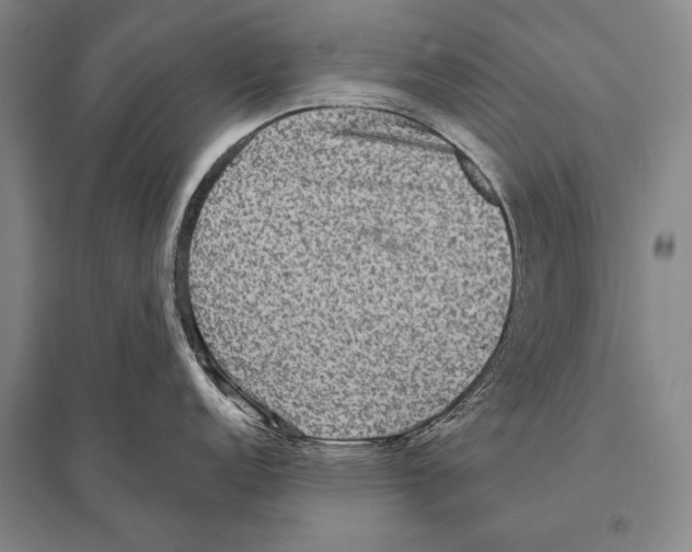 X0000094811152200712141616