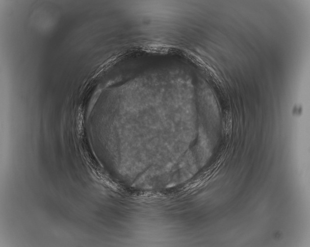 X0000094811154200712141615