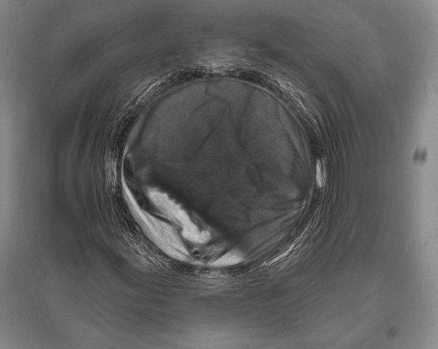 X0000094811155200712141615