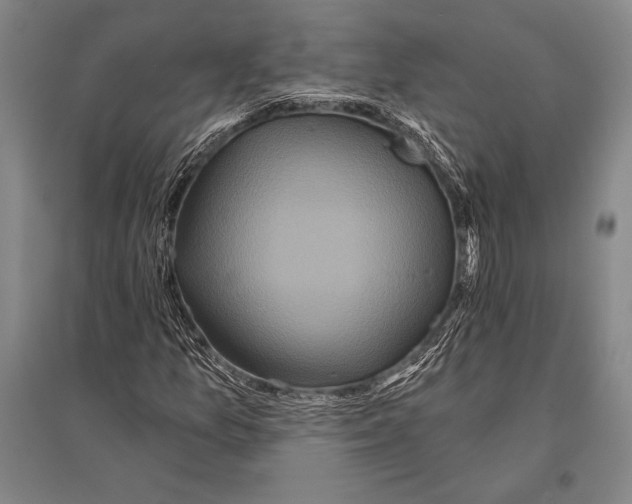 X0000094811157200712141615