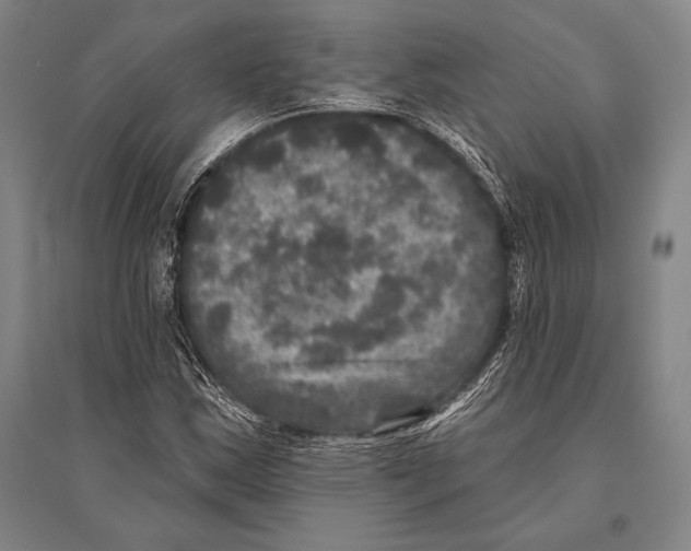 X0000094811163200712141615