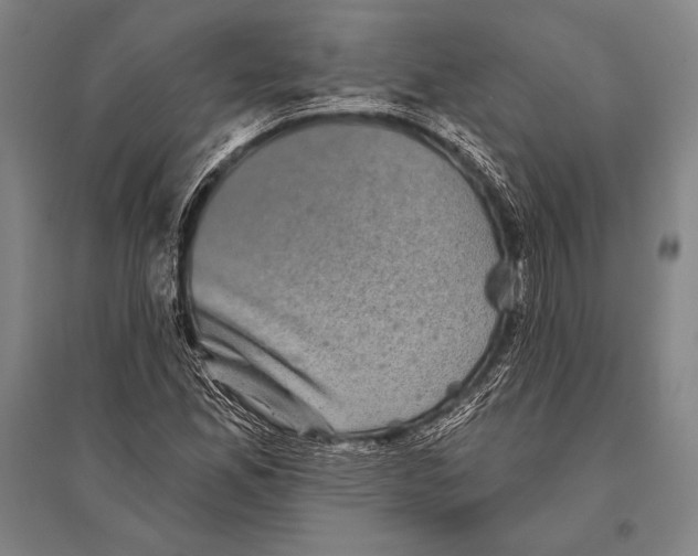 X0000094811165200712141615