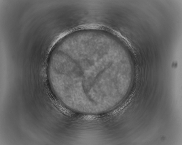 X0000094811166200712141615