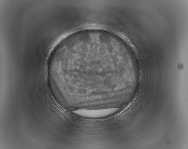 X0000094811167200712141615