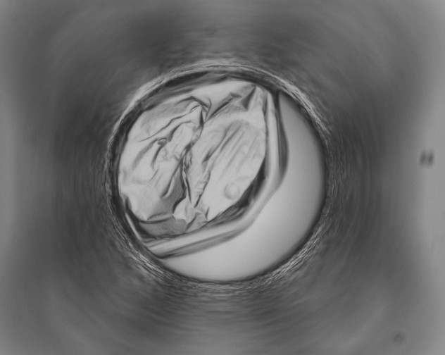 X0000094811168200712141615