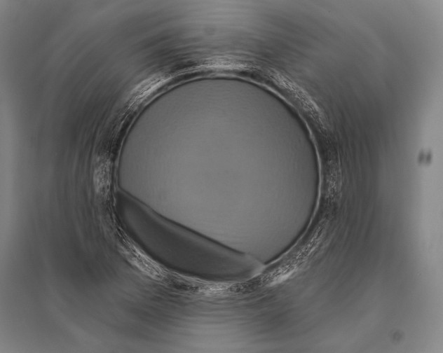 X0000094811169200712141615