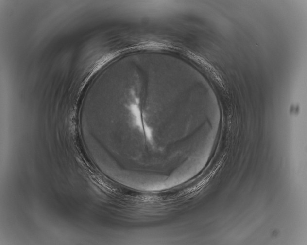 X0000094811170200712141615