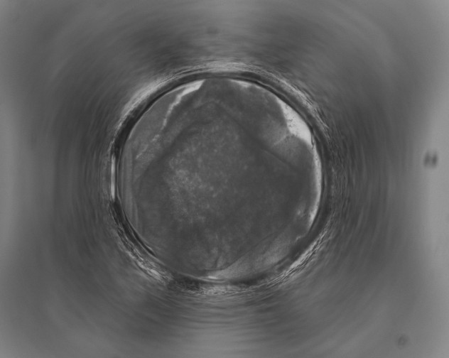 X0000094811171200712141615