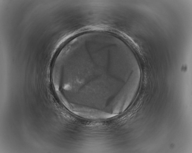 X0000094811174200712141615