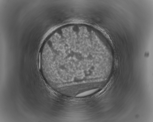 X0000094811175200712141615