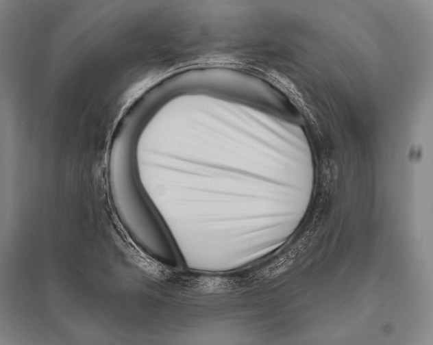 X0000094811176200712141615