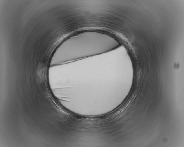 X0000094811177200712141615