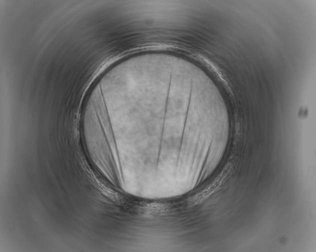 X0000094811178200712141615