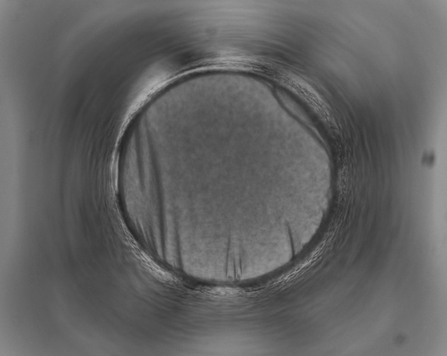 X0000094811180200712141615