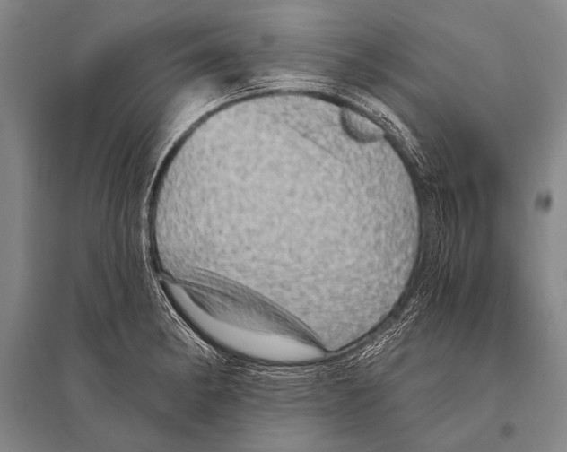 X0000094811182200712141615