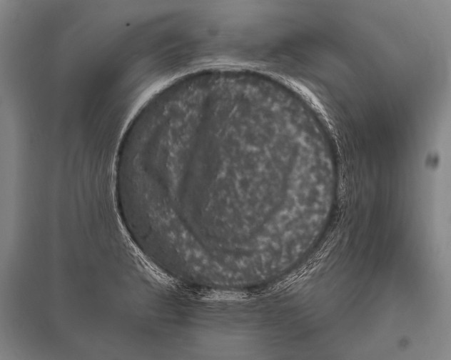 X0000094811183200712141615