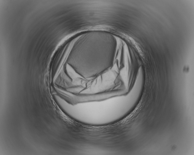 X0000094811184200712141615