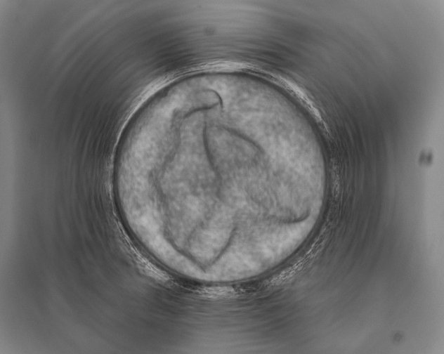 X0000094811186200712141615