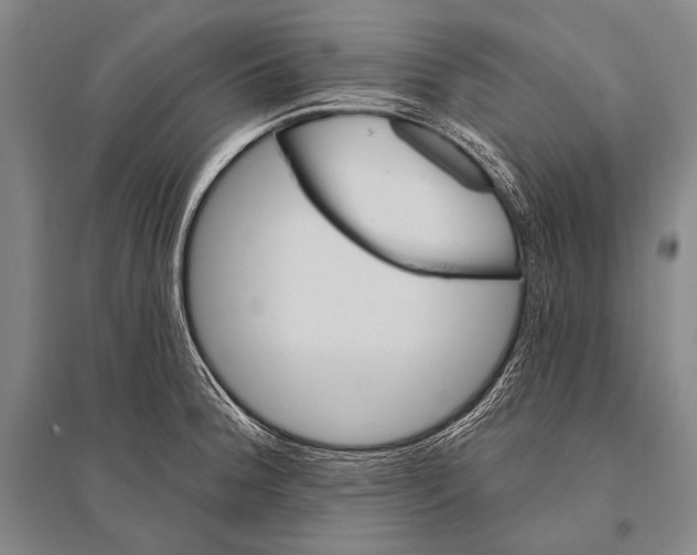 X0000094811188200712141615