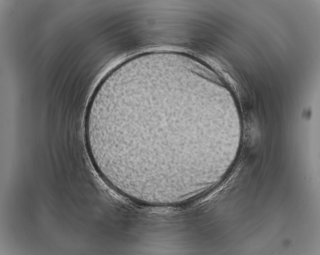 X0000094811189200712141615