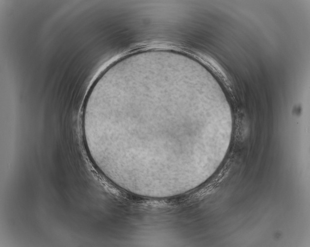 X0000094811190200712141615