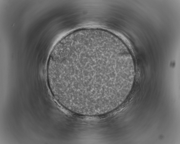 X0000094811191200712141615