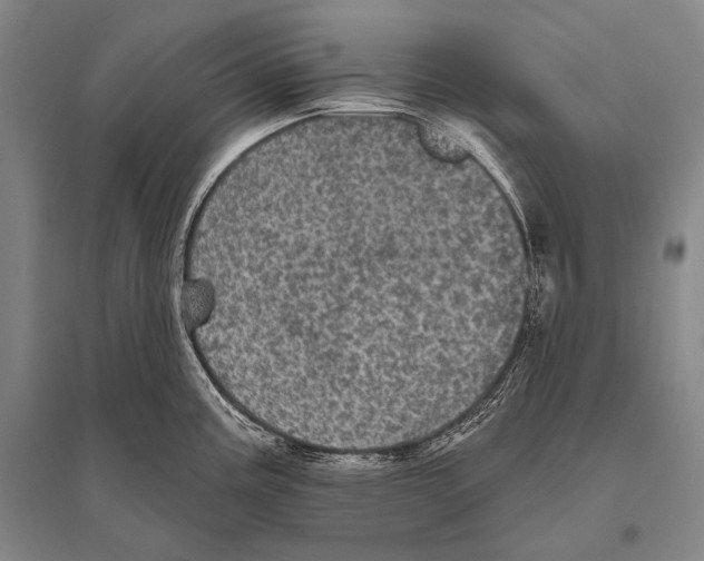 X0000094811195200712141615