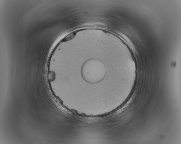 X0000094811196200712141615