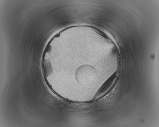 X0000094811197200712141615