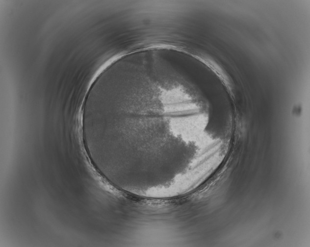 X0000094811198200712141615