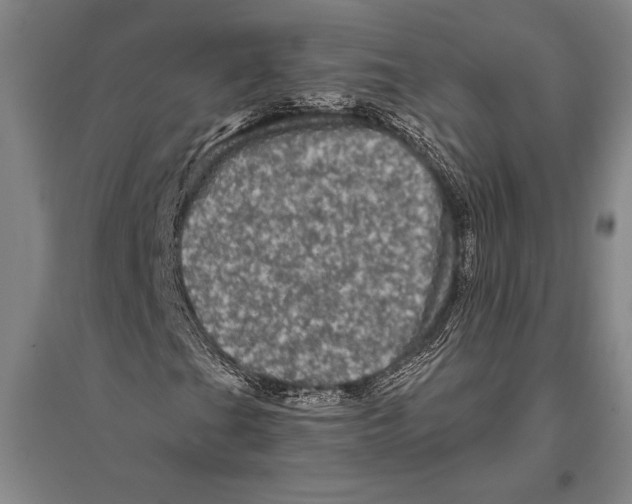 X0000094811201200712141614