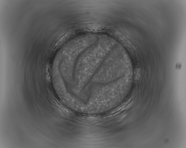 X0000094811202200712141614