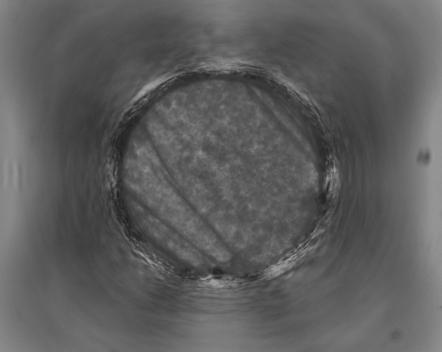 X0000094811206200712141614