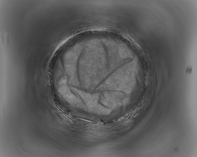 X0000094811208200712141614