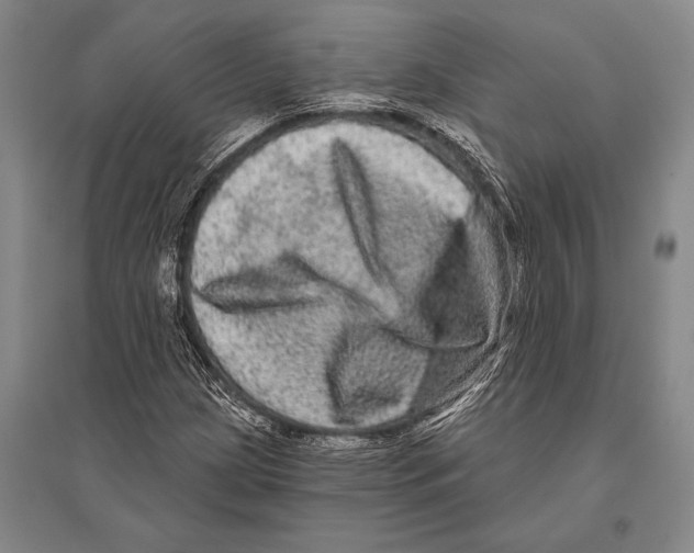 X0000094811209200712141614