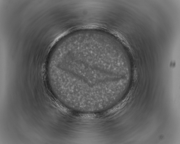 X0000094811210200712141614