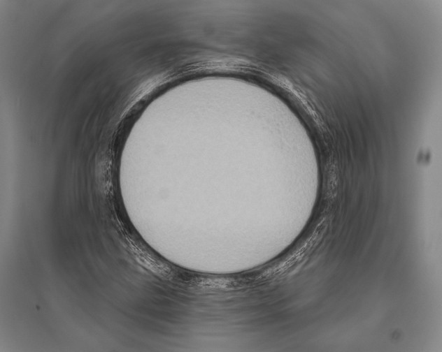 X0000094811211200712141614