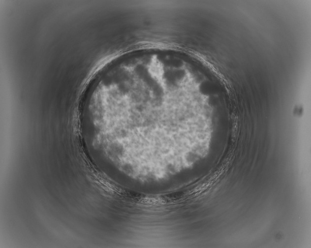 X0000094811215200712141614