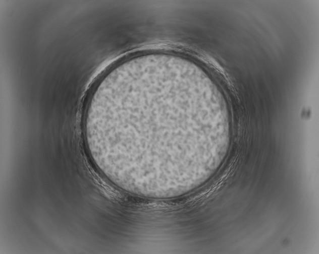 X0000094811216200712141614