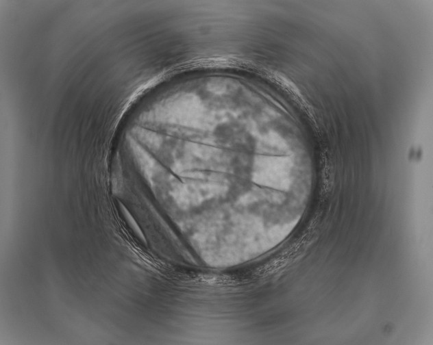 X0000094811218200712141614