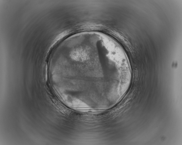 X0000094811219200712141614